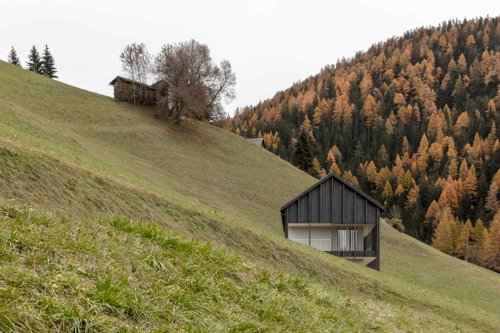 Architekt Ellecosta Daniel, Südtirol